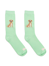 Dog Socks