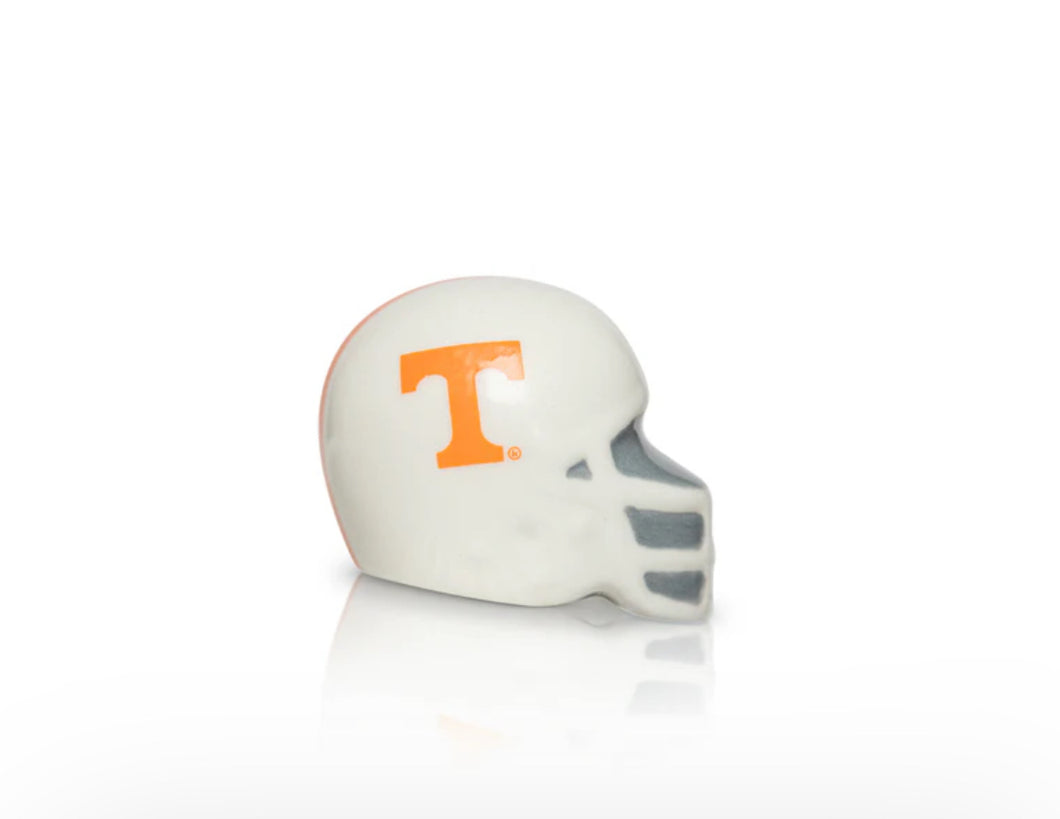 Nora Fleming University of Tennessee Helmet