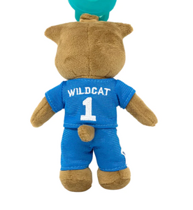 University of Kentucky Wildcat Mascot Pacifier