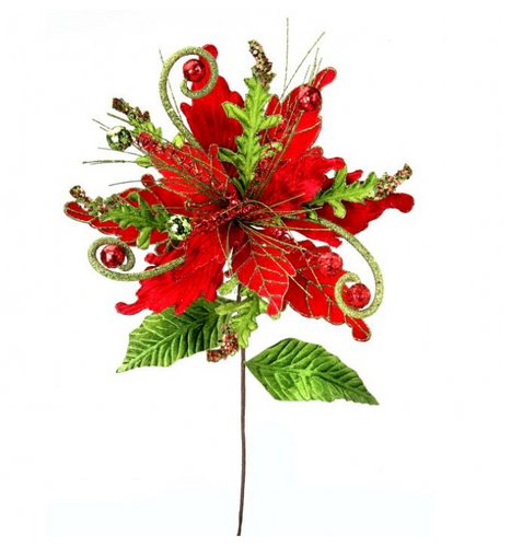 Whimsy Grand Poinsettia