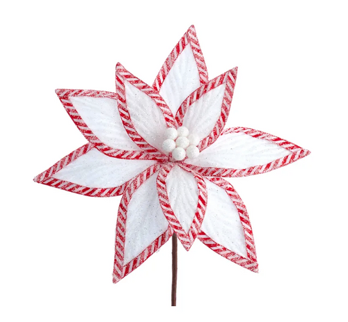 Frosted White Velvet Poinsettia Pick