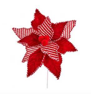 Red and White Striped Poinsettia Pick