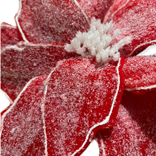 Red Frosted Poinsettia Pick