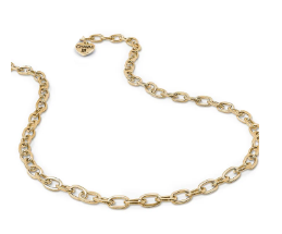 Gold Chain Necklace Charm It!