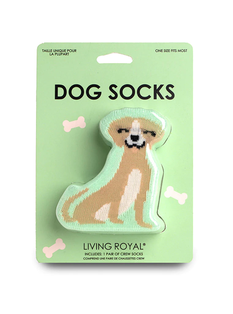 Dog Socks Henson Florist & BelindaBelles Dog Socks Henson Florist & BelindaBelles