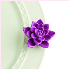 Nora Fleming Succulent Mini