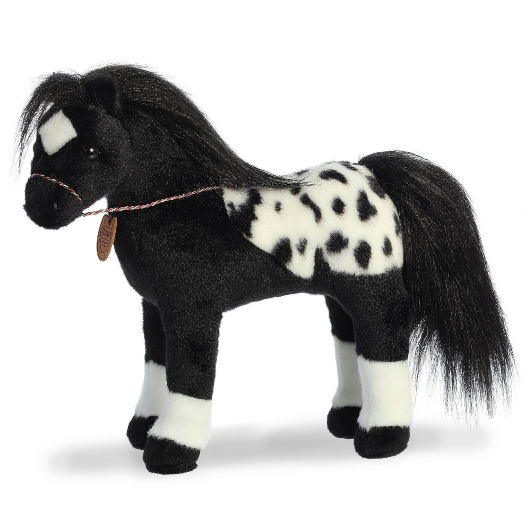 Showstoppers Black Appaloosa Horse