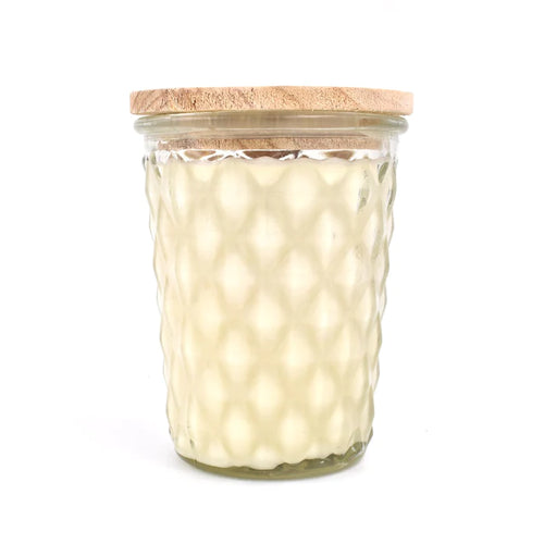 Snickerdoodle 12oz Candle by Swan Creek Candle