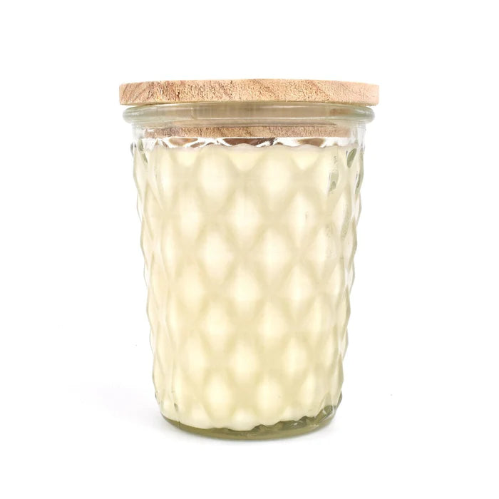 Sparkling Apple Cider 12oz candle by swan creek candles